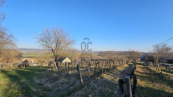 Mindszentkálla képe