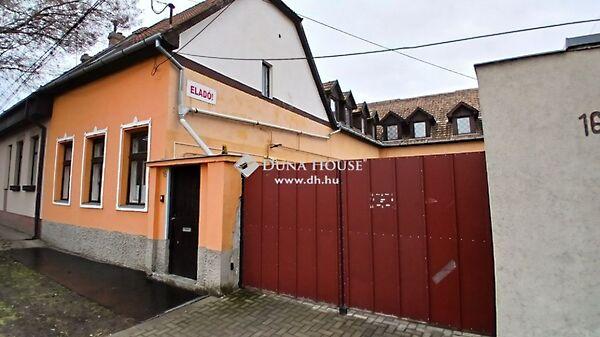 Zimay László, Kecskemét képe