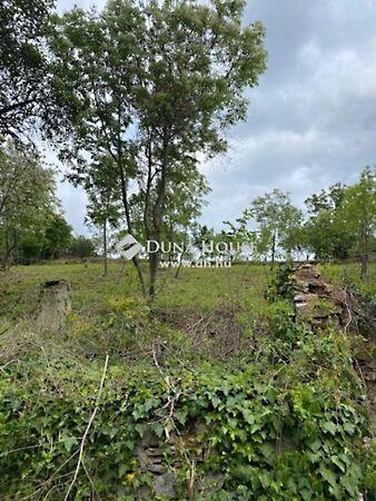 Nagyszkókói, Pécs képe