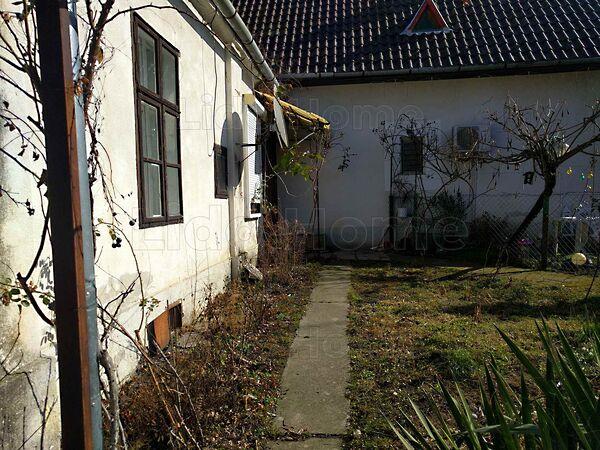 Badacsonytördemic 2. képe