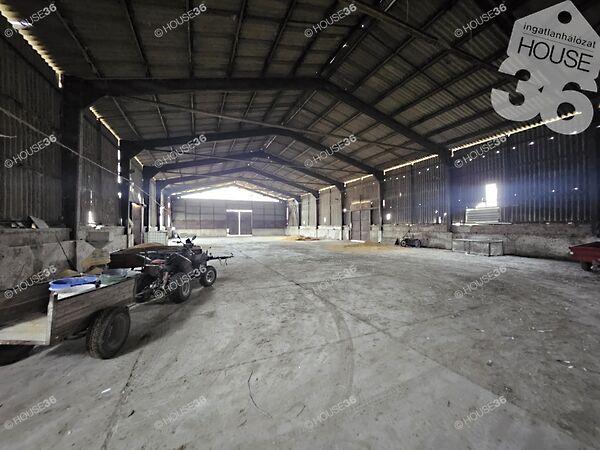 Szentkirály 2. képe