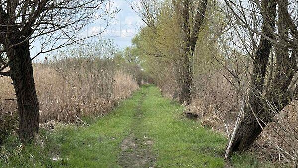 Balatonmáriafürdő 3. képe