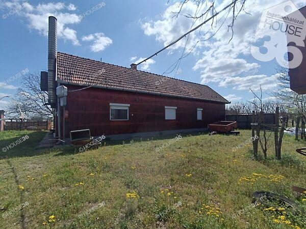 Kiskunfélegyháza képe