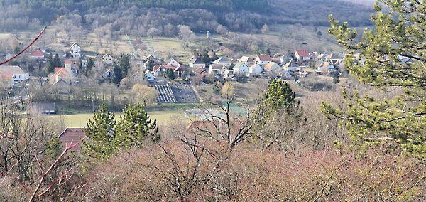 Ady Endre, Csabdi képe