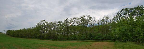 2103-as, Őrbottyán képe