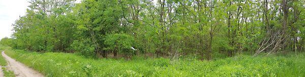 2103-as, Őrbottyán 2. képe