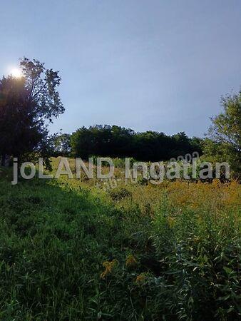 Tornyiszentmiklós 3. képe