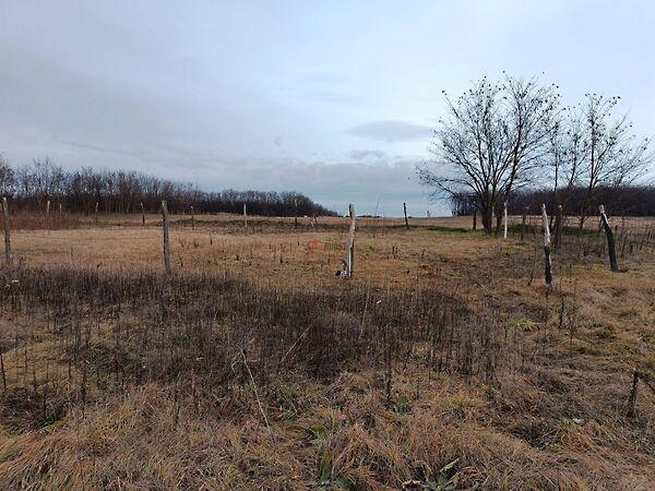 Őrbottyán 2. képe