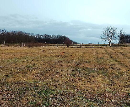 Őrbottyán 3. képe