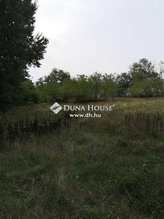 Rákóczi Ferenc, Őrbottyán 2. képe