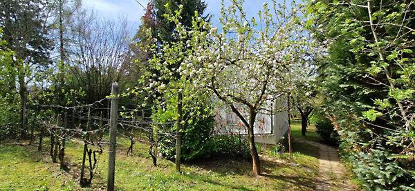 Külső, Kaposvár képe