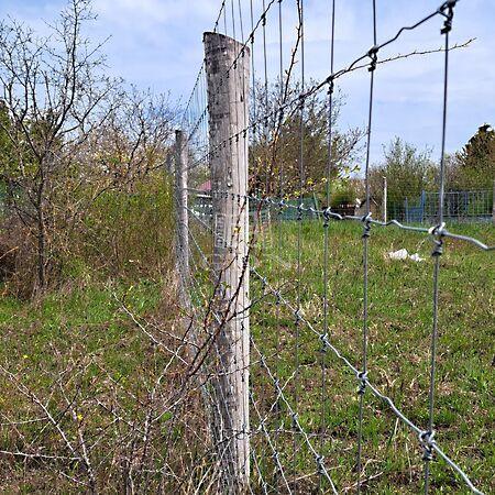 Berek, Balatonkenese 3. képe