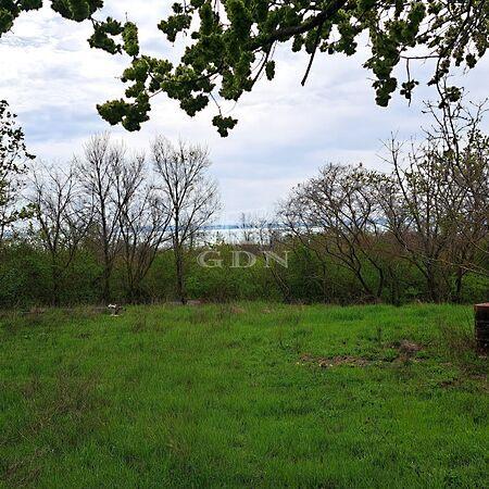 Berek, Balatonkenese képe