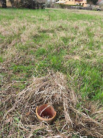 Kisújszállás 2. képe