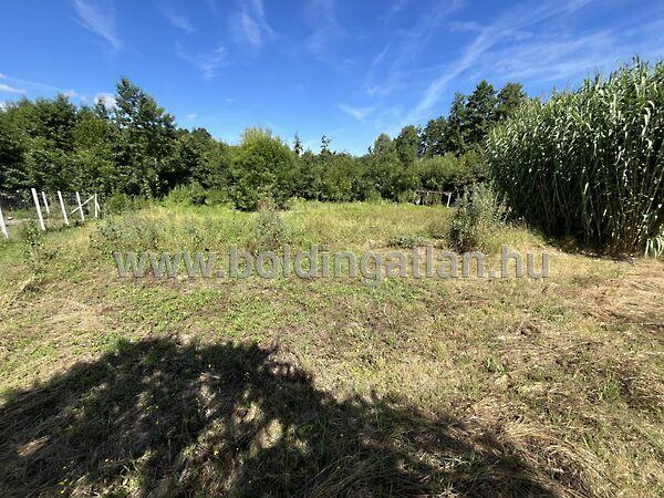 Dózsa György, Mezőcsokonya képe