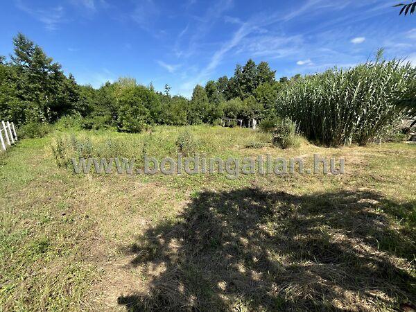 Dózsa György, Mezőcsokonya 2. képe