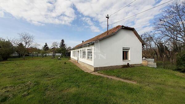 Rákóczi, Hajdúszoboszló képe