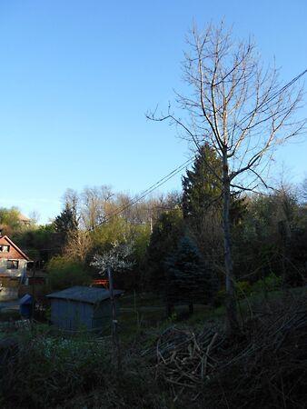 Kossuth Lajos, Zalaegerszeg 2. képe