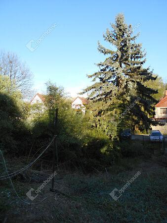 Kossuth Lajos, Zalaegerszeg 3. képe