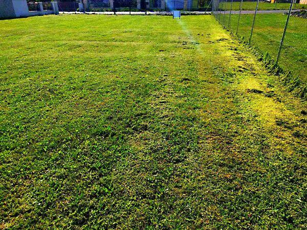 Balatongyörök 2. képe