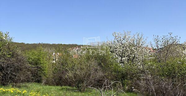 Budakeszi Mandula, Budakeszi képe