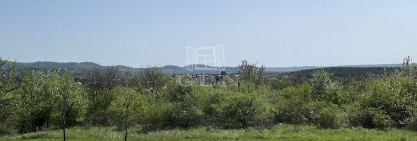 Budakeszi Mandula, Budakeszi 3. képe