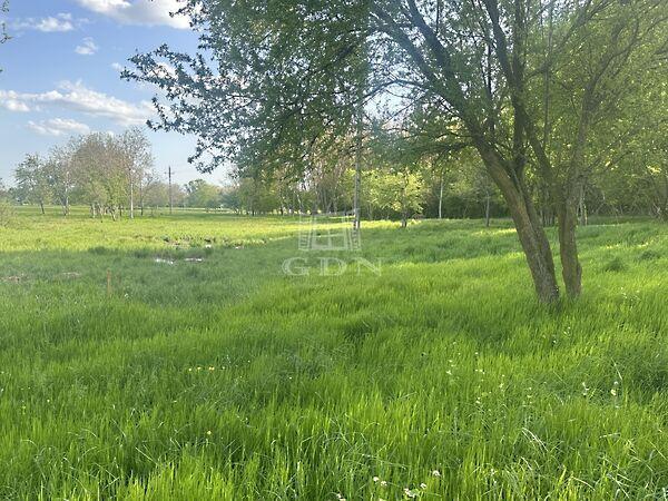 Balatongyörök képe