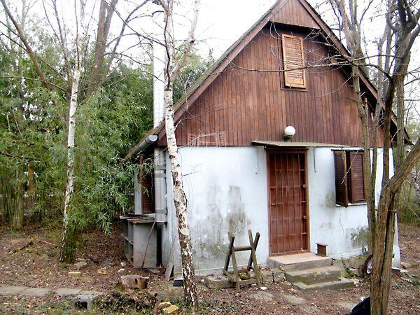 Domb, Budakeszi képe