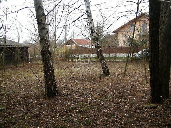 Domb, Budakeszi 2. képe