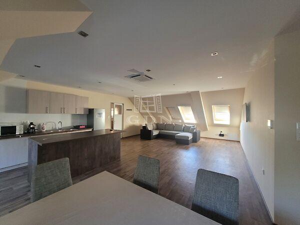 Jelky András, Baja képe