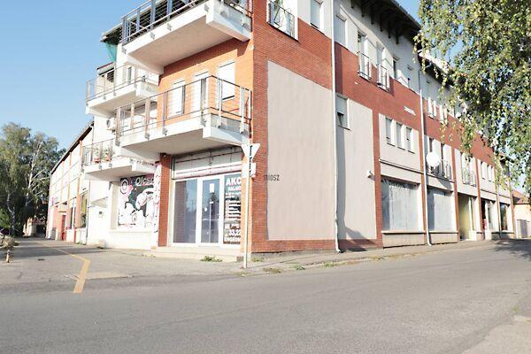 Táncsics Mihály, Orosháza 2. képe