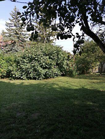 Balatonmáriafürdő 2. képe