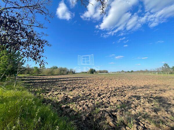 Zsombó főút mellett eladó, Zsombó képe