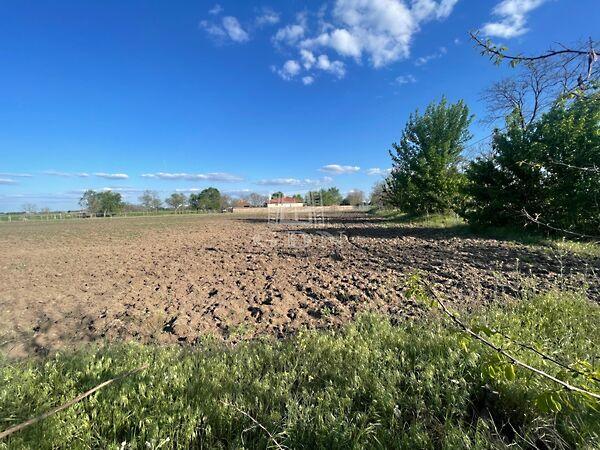 Zsombó főút mellett eladó, Zsombó 3. képe