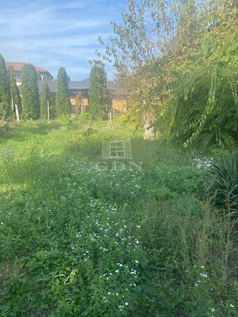 Móra Ferenc, Komárom 2. képe