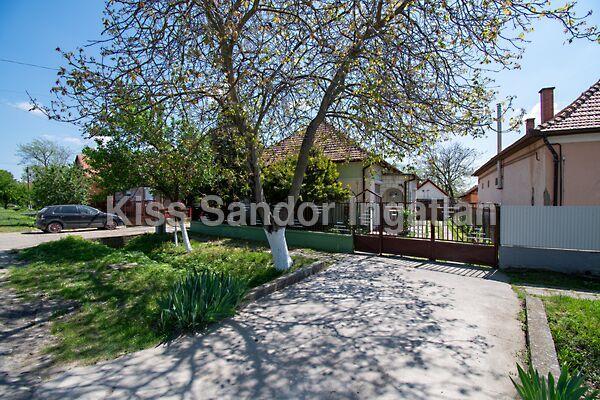 Petőfi Sándor, Komádi képe