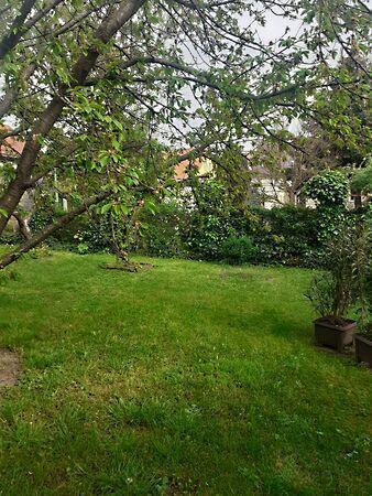 Remény, Pécs 2. képe