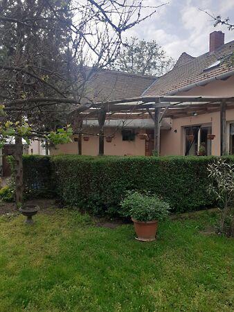 Remény, Pécs 3. képe