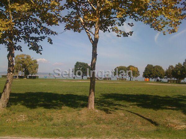 Üdülő, Zamárdi képe