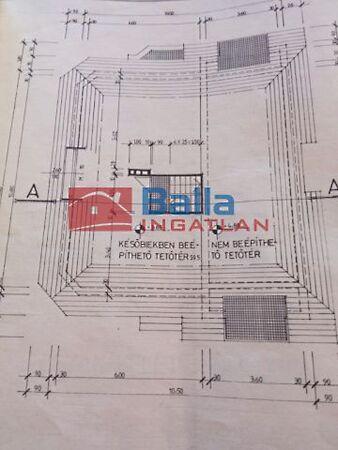 Szőlő, Csömör 3. képe