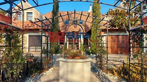 Rege, Zamárdi képe