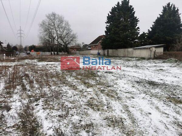 Tebe sorhoz közel, Szigetszentmiklós képe