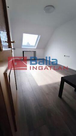 Ifjúság, Szigetszentmiklós képe