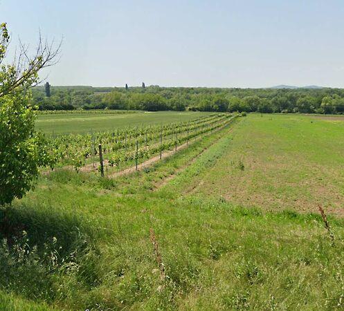 Balatonboglár képe