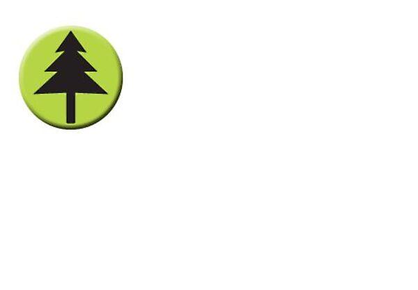 Jánossomorja 2. képe