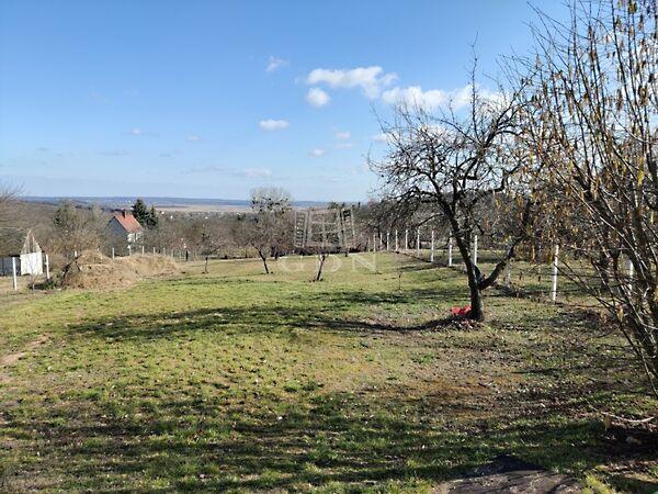 Tulipán utca, Pákozd képe