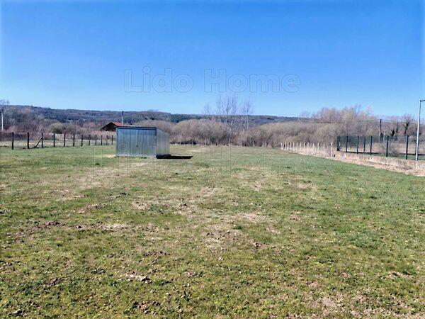 Kehidakustány képe