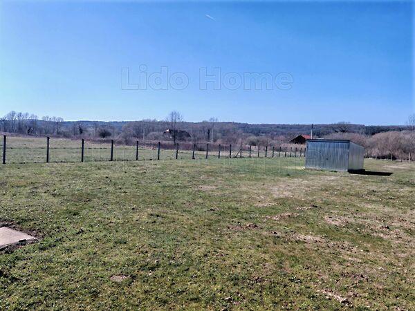 Kehidakustány 2. képe