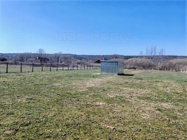 Kehidakustány 3. képe