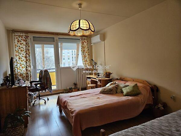 Németh László, Pécs képe